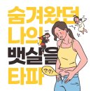 365솔루션
