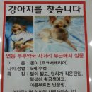 늘희망약국 이미지