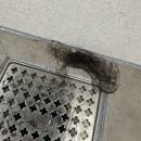 한결연합의원 | ✨ 청주연합의원 탈모치료 시작하고 1주차 변화 기록