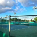 서귀포테니스장(실외) 이미지