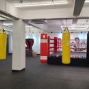 탑비트복싱클럽 이미지