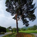 전주샹그릴라CC 이미지