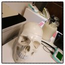 선인안경원 | [고속버스 프리패스 나 혼자 여름휴가] 10화. 에스테틱(작은 얼굴관리)과 안경 맞추기. 산성터널에서...