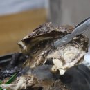 장흥황토마당 이미지