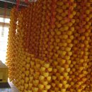 황재농장 이미지