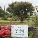 카페꽃일다 이미지