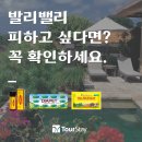 서창약국 | 발리신혼여행, 발리밸리 피하고 싶다면? 출국 전 꼭 확인하세요.