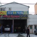 진일카 네이버블로그