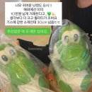 하심양품