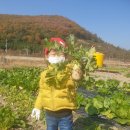 삼호축산 이미지