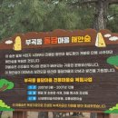 부곡동 돌담해안숲공원 | 동해 묵호 6월 가볼만한곳 사진찍기 좋은 포토존 유채꽃밭과 닮은 큰금계국과 보리밭