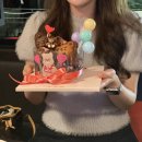 하이오 수영광안점 | [부산 광안리 와인바] 분위기 좋은 부산 광안리 와인바 ‘비스트로 드레‘