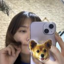 12월의 일상 (22년의 마무리)
