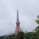 청량리_0011 | [도쿄 여행] 도쿄 뚜벅이 첫 여행 (조죠지-시부야-도쿄도청)