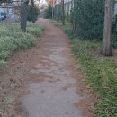 철로변녹지대 이미지