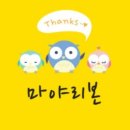 [10/10] 프리저브드 플라워 하바리움 - 원데이 클래스 이미지