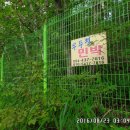 우두령민박 이미지