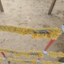 민안초등학교 이미지