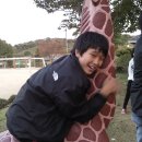 옹정초교 이미지