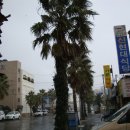 신현대렌트카 이미지