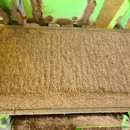 제광산업 이미지