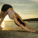 팜 라이프 이미지