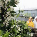 신효동-14 이미지