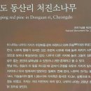 매전 이미지