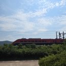 작원관지 이미지