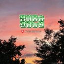 정이품송캠핑장 | [충북여행/보은]정이품송관광농원 2박 3일 캠핑