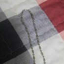 미키애견 이미지