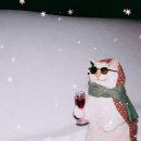 미뇽 캣 | 라망타로 상담후기, 연애유튜브, 헬로우봇 스킬 추천 : 그 사람 속마음, 나를 좋아하는 사람 몇명? 12월...