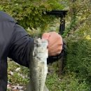 다감 스테이 이미지