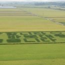 시목마을 이미지