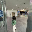 영등포구민회관 내 | [수영] 경기도 수원 원정수영 장안구청 장안구민회관 푸르내수영장 자유수영 이용 후기