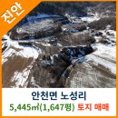 진안공인중개사사무소 이미지
