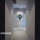 파인드피부과의원 이미지