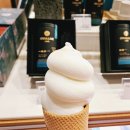 오설록 티하우스 판교 현대백화점 둘러보기 &amp; 소프트아이스크림 3종 녹차 우유 혼합 후기