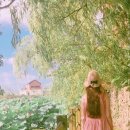 연화분식 - 동구 남목17길 16 | 연화분식