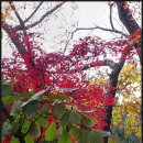 도시철도 연산역 3번출구 이미지