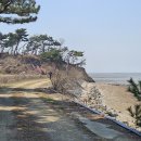 경기둘레길 화성48코스 | 경기둘레길 48코스 화성시 *백미리해안-궁평유원지-궁평항* (25.04.01)