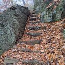 한울농장 이미지