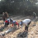 인주면사무소 이미지