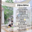 평화모터랜드 이미지