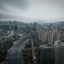 강꼬 이미지