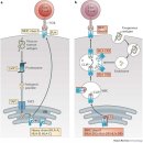 제노바이오 이미지