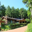 힐링건강랜드 이미지