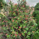 농업기술센터(농업전시관) 이미지