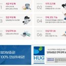 하이앤하임