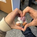 여성친화 휴(休) 도서관 | [24년 8월 4주차] 나 분명 퍼스 명예시민이었는데